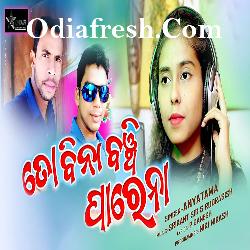 To Bina Banchi Parena - Odia Song